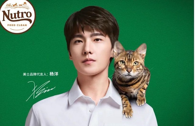 杨洋成为美士品牌代言人