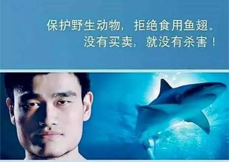 公益代言 公益代言