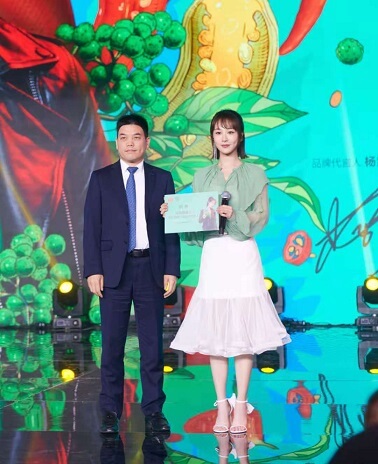 杨紫代言的品牌